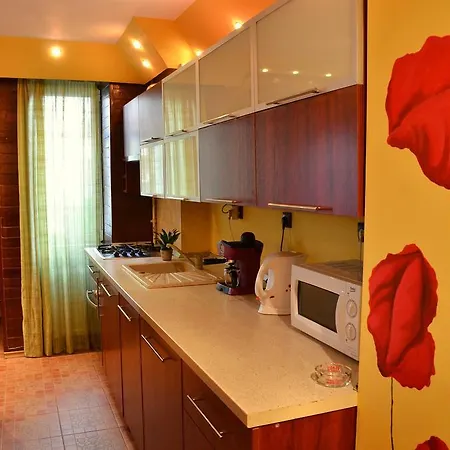 Apartament Central Eric Апартаменти Брашов