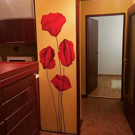 Apartament Central Eric Апартаменти *